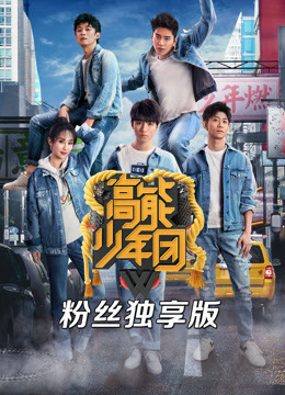 高能少年团粉丝独享版